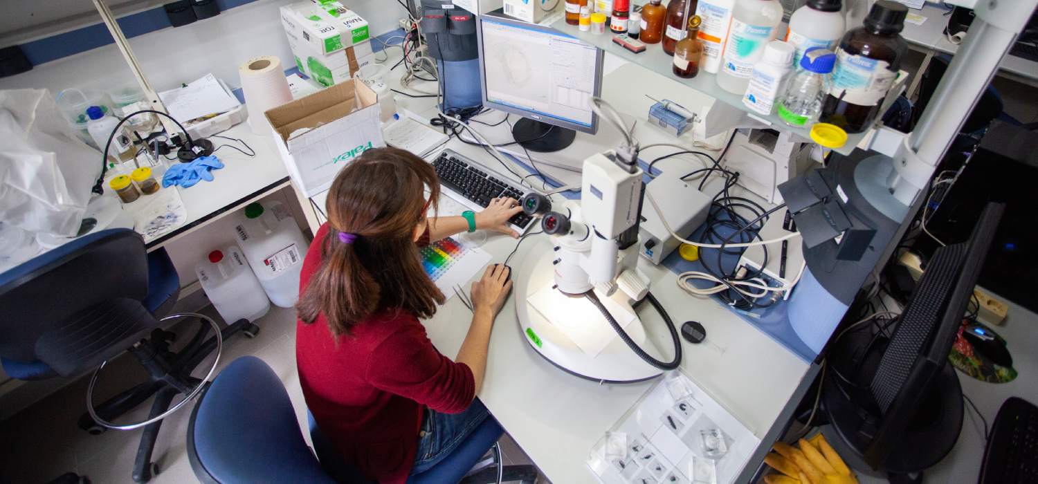 El programa Ramón y Cajal cumple 25 años con más de 30 investigadores vinculados a la Universidad de Cádiz