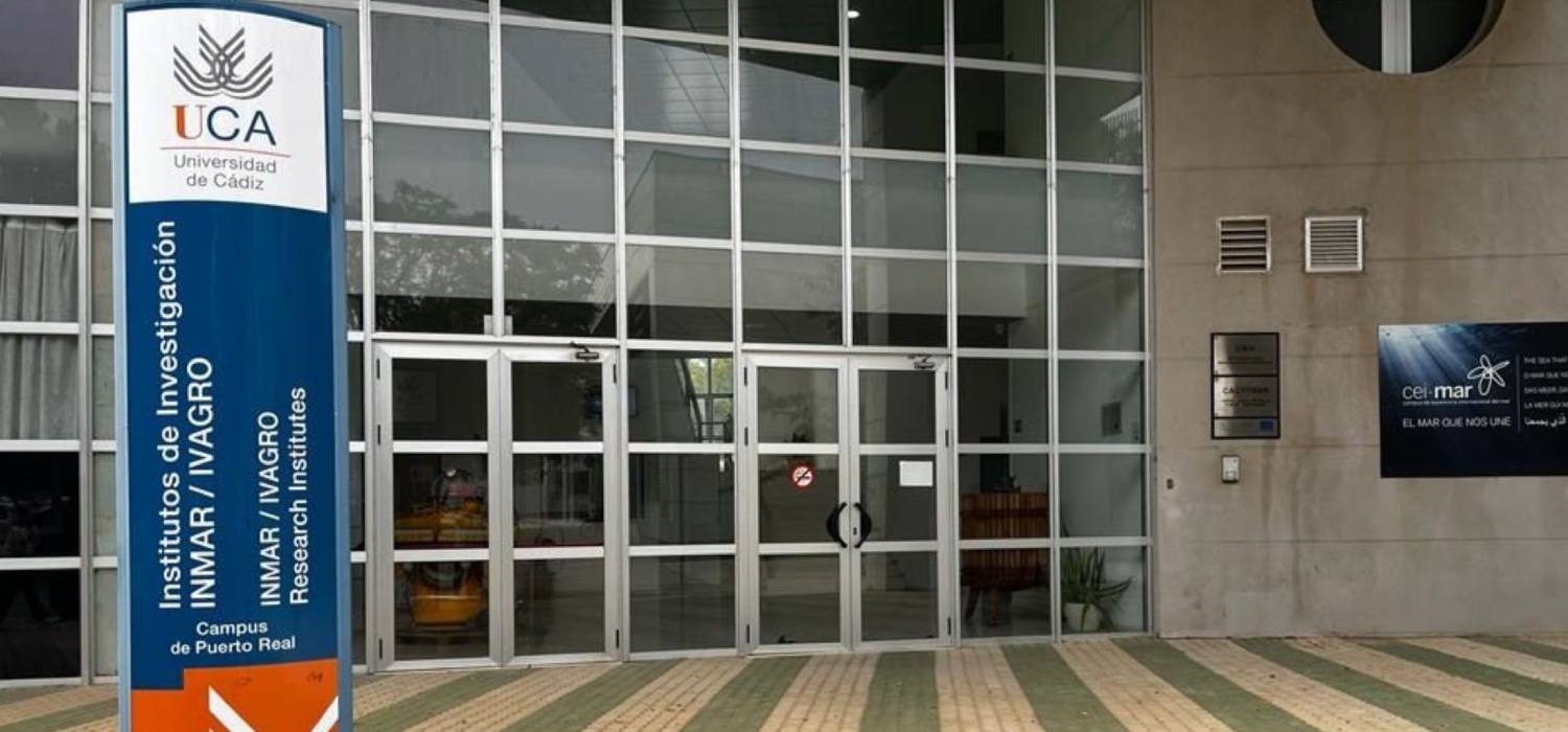 Un estudio revela cómo los macroplásticos alteran la estructura y el funcionamiento de las poblaciones de mejillón en Galicia