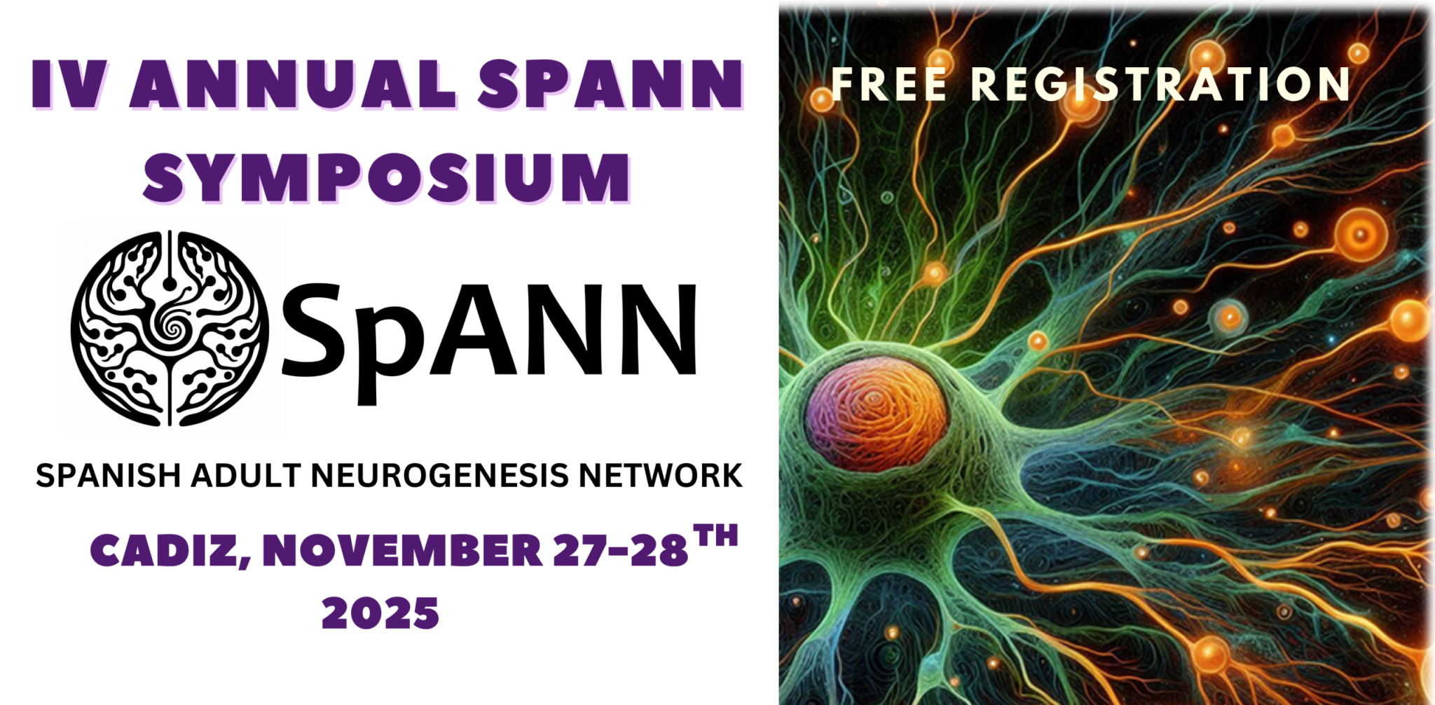 IV Simposio de Neurogénesis Adulta SpANN: 27 y 28 de noviembre en la Facultad de Medicina