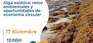 La Universidad de Cádiz impulsa en Conil una jornada sobre el alga asiática desde la economía cir...
