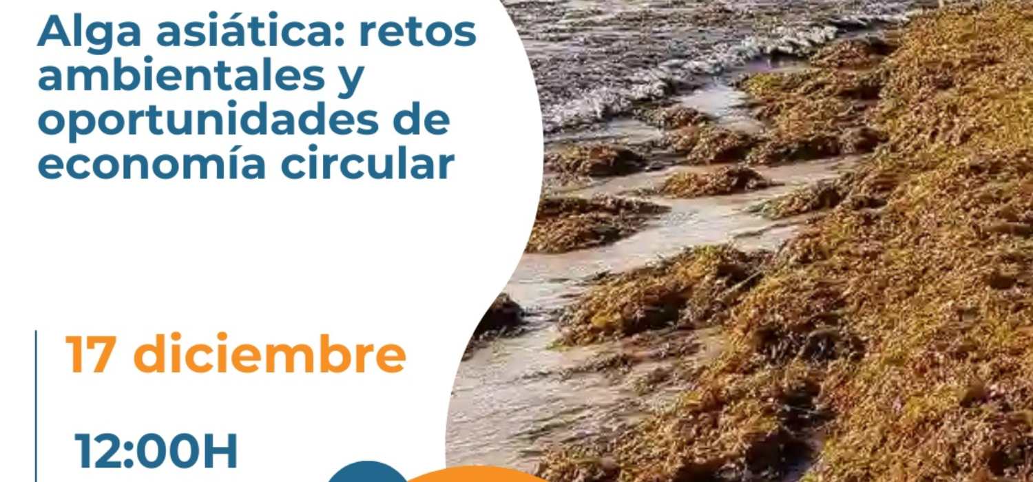 La Universidad de Cádiz impulsa en Conil una jornada sobre el alga asiática desde la economía circular y el emprendimiento