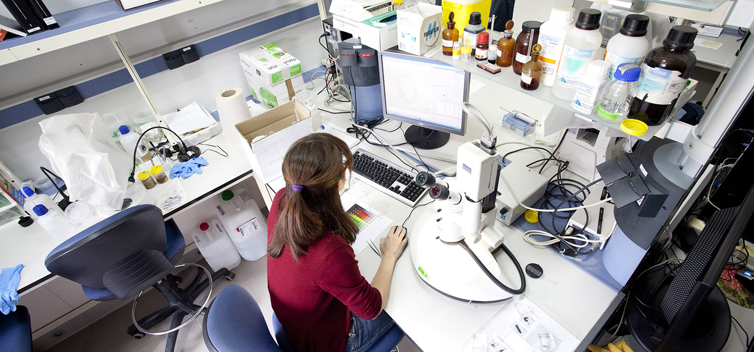 La Fundación Muy Interesante y la Universidad de Cádiz alcanzan un acuerdo para potenciar la divulgación científica