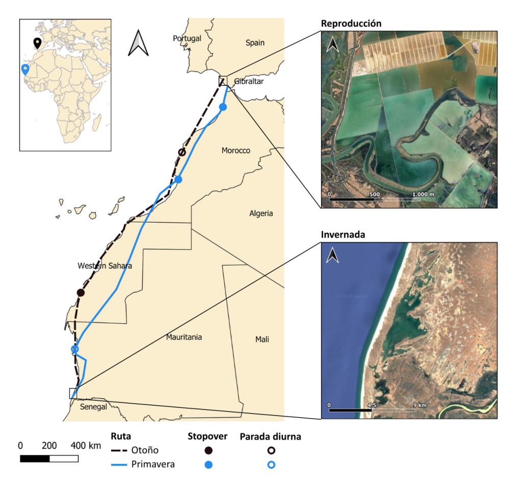 The UCA conducts the first high-resolution GPS tracking of the ...