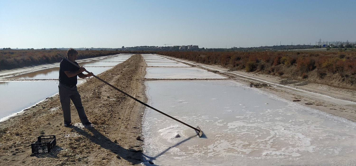 Impulso a la innovación sostenible con el seminario ‘Salinas artesanales y Economía azul para el siglo XXI’