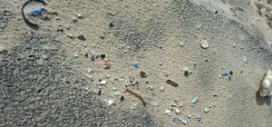 Un estudio científico liderado desde la UCA aporta nueva evidencia sobre el riesgo químico de las...