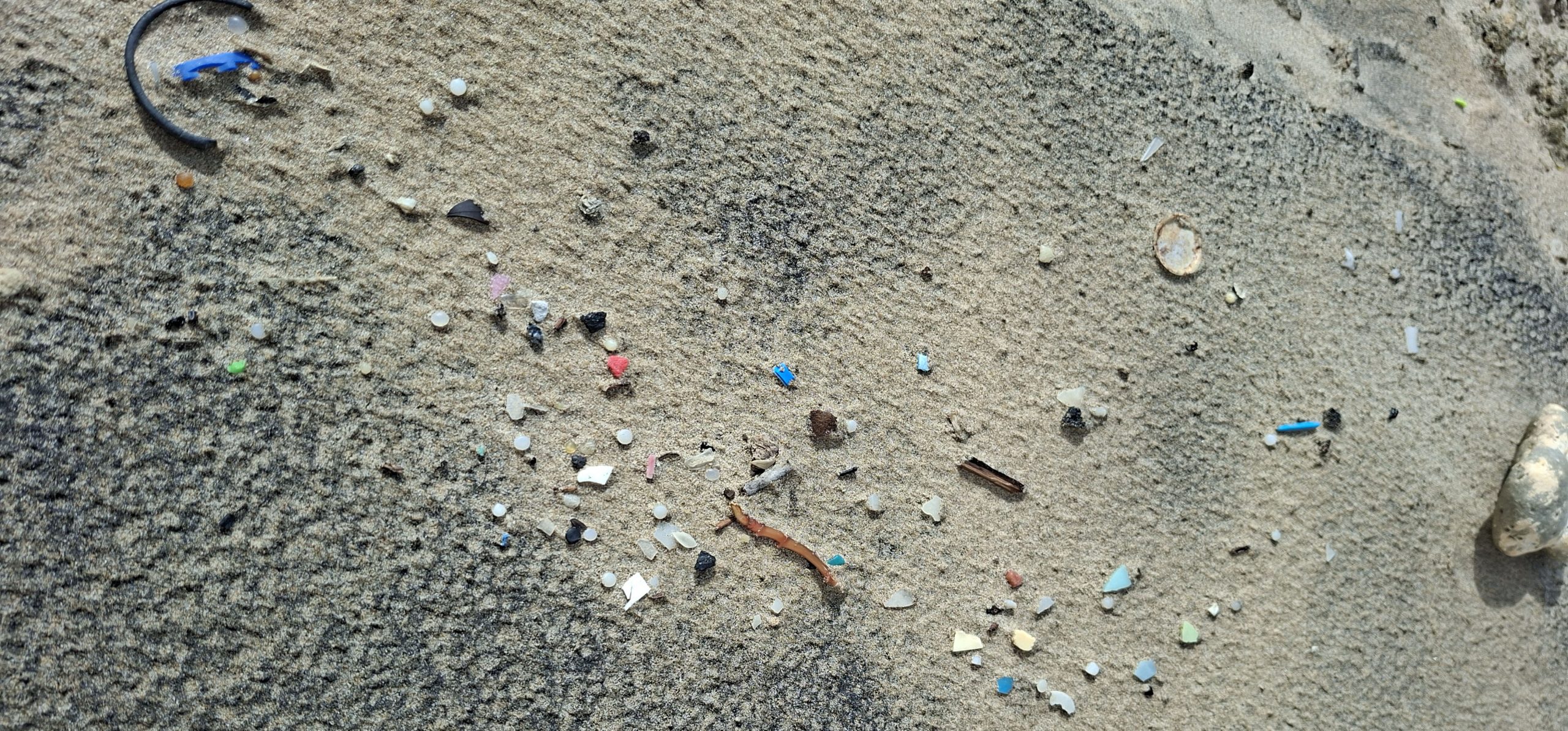 Un estudio científico liderado desde la UCA aporta nueva evidencia sobre el riesgo químico de las ‘bolitas’ plásticas en el mar