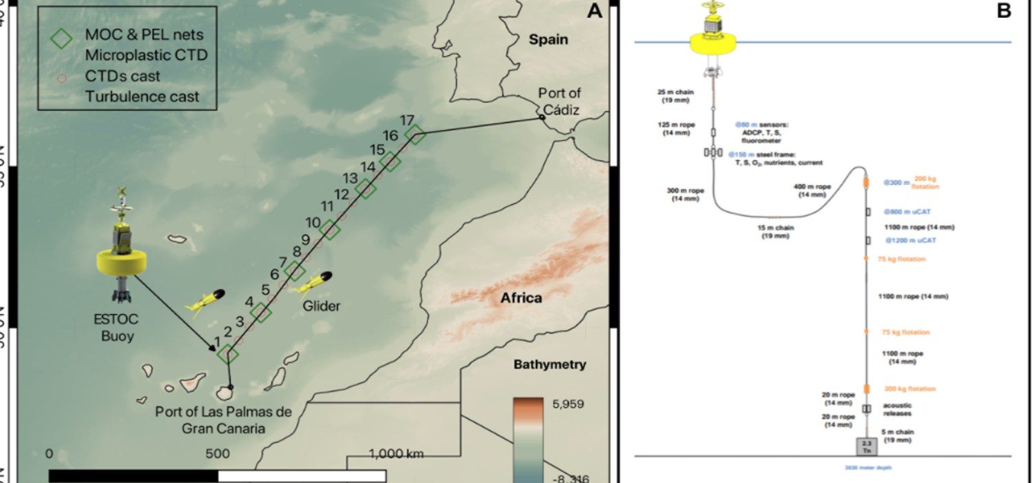 La UCA colabora en una investigación sobre cómo el calentamiento global está transformando el Atlántico Noreste
