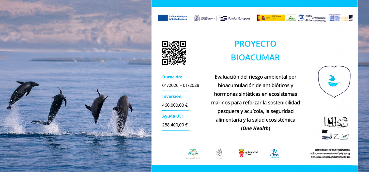 La Universidad de Cádiz acogerá la Jornada de lanzamiento del Proyecto BIOACUMAR