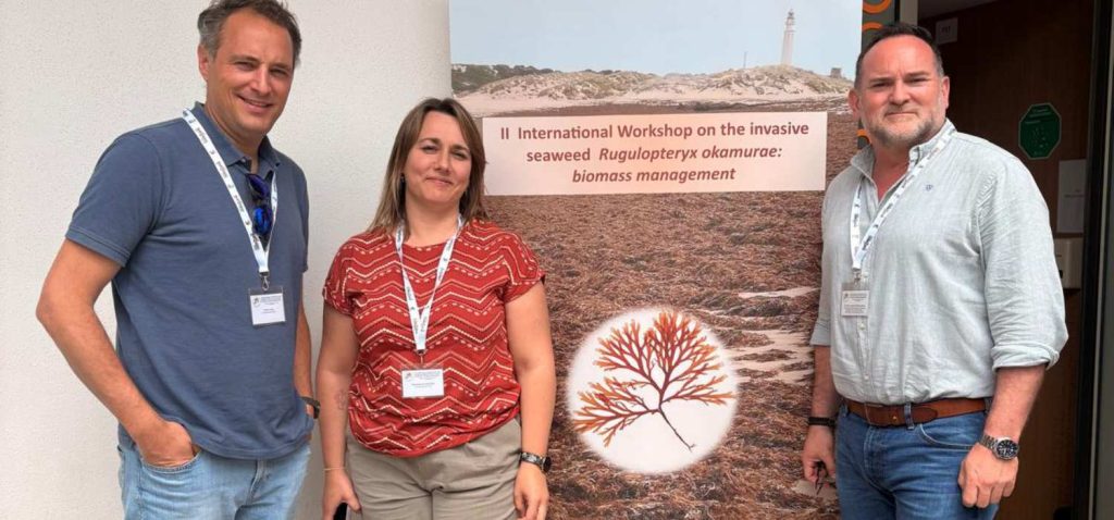 La UCA coordina un proyecto que sentará las bases moleculares para mejorar la detección y gestión del alga invasora que afecta a las costas gaditanas