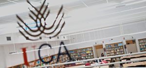 La Universidad de Cádiz amplía su oferta académica y roza el medio centenar de grados