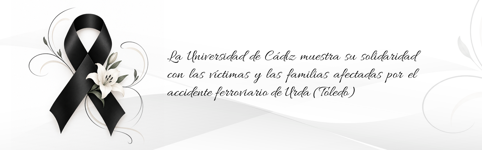 IMG Luto Accidente Tren