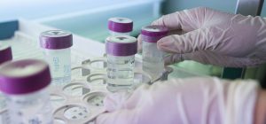 Una quincena de investigadores de la UCA figura entre los científicos de mayor impacto internacio...