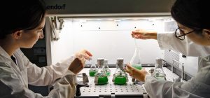 CEIMAR presenta ‘BlueBio-Andalucía’ y refuerza su apuesta por el talento joven en ‘Blue Zone Foru...